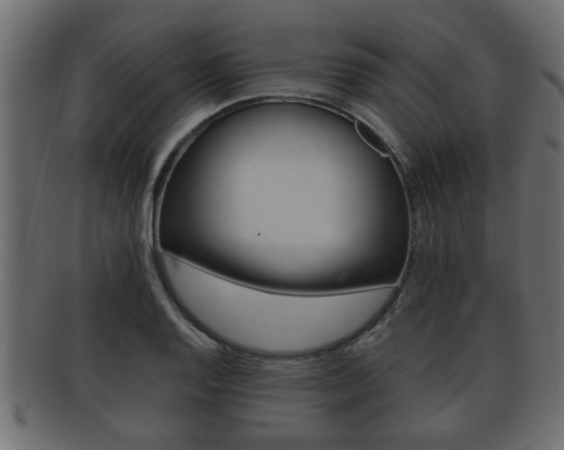 X0000092311128200709141025