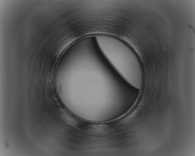 X0000092311129200709141025