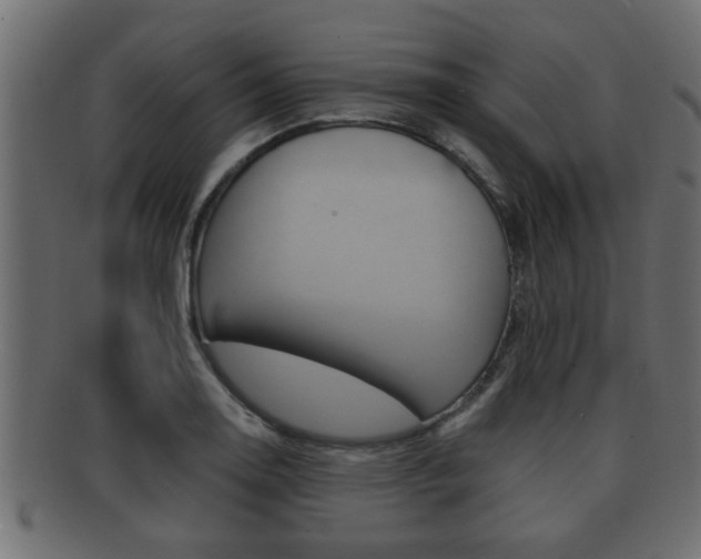 X0000092311130200709141025