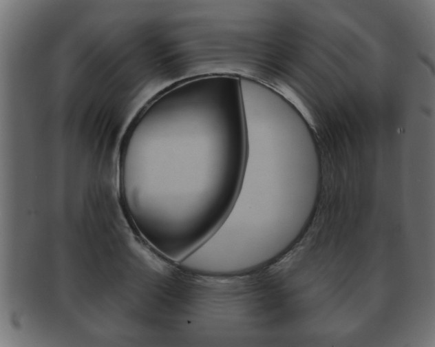 X0000092311132200709141025