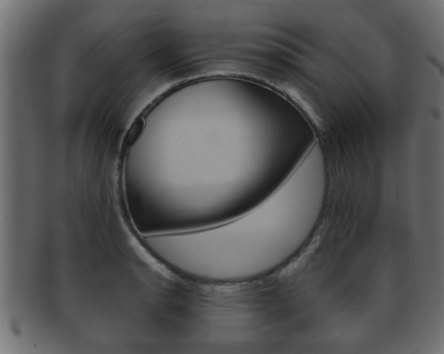X0000092311134200709141025