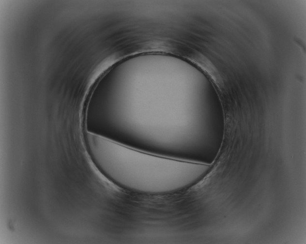 X0000092311135200709141025