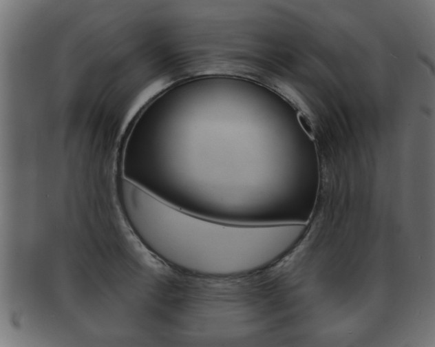 X0000092311138200709141025