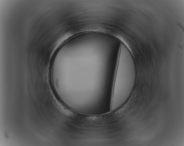 X0000092311139200709141025