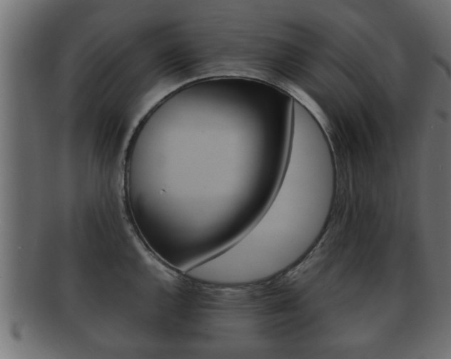 X0000092311144200709141026