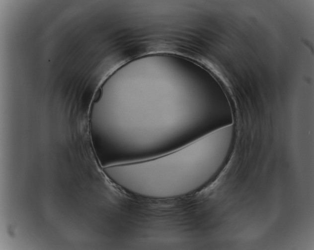 X0000092311145200709141026