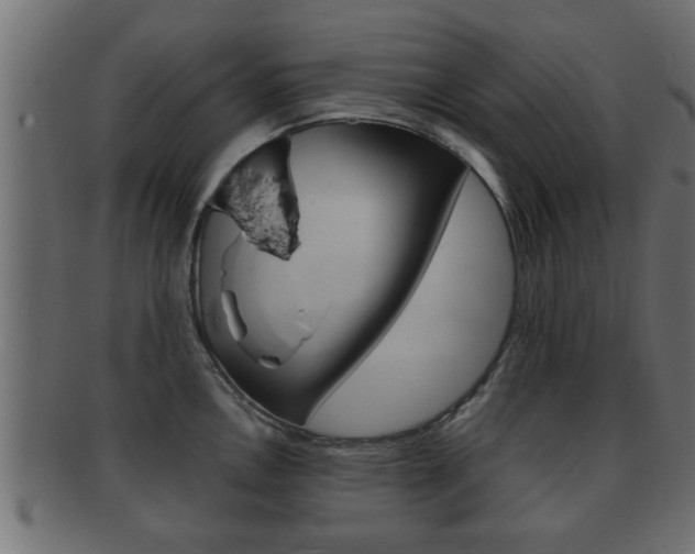 X0000092311146200709141026