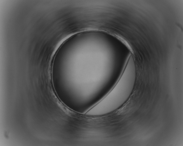 X0000092311148200709141026