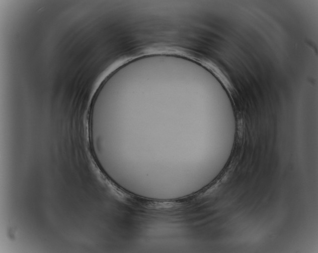 X0000092311150200709141026