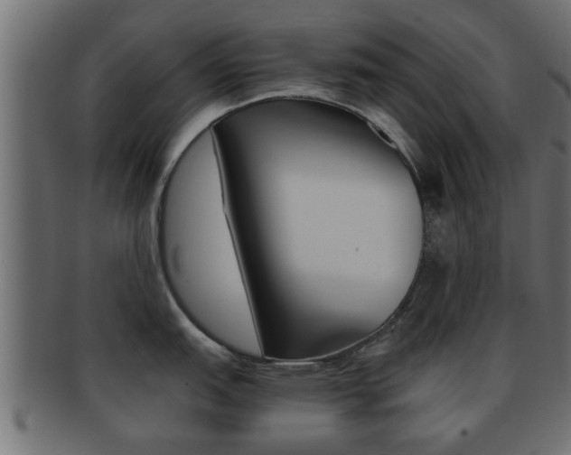 X0000092311151200709141026