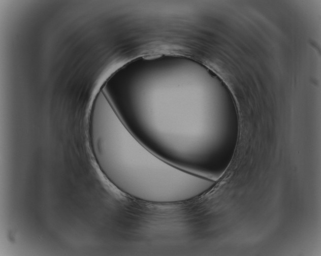 X0000092311152200709141026