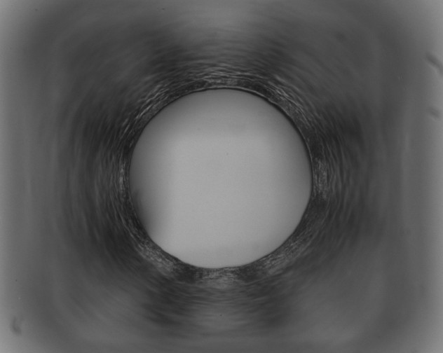 X0000092311154200709141025