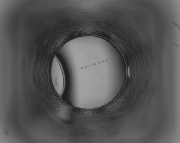 X0000092311155200709141025