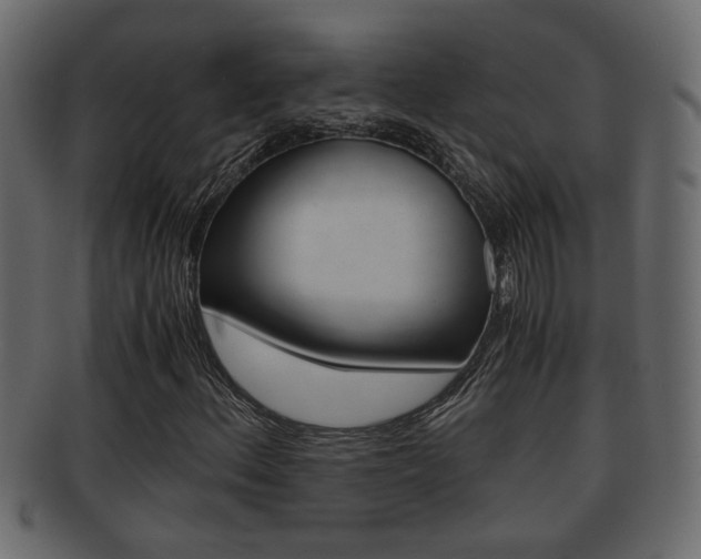 X0000092311156200709141025