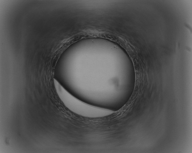 X0000092311157200709141025