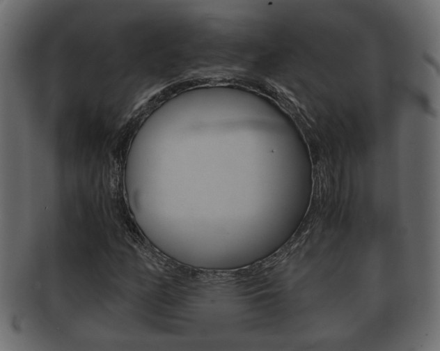 X0000092311158200709141025