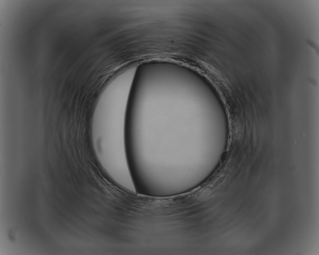 X0000092311161200709141025