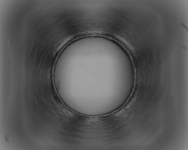 X0000092311162200709141025