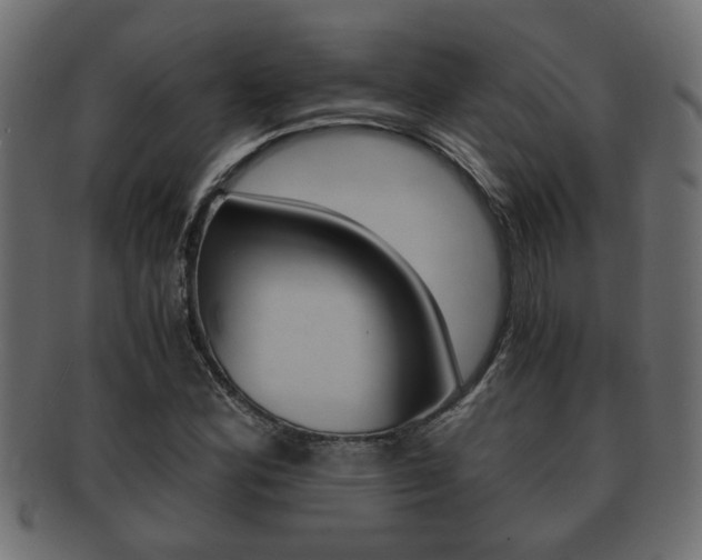 X0000092311164200709141025