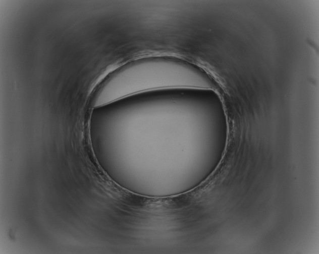 X0000092311165200709141025