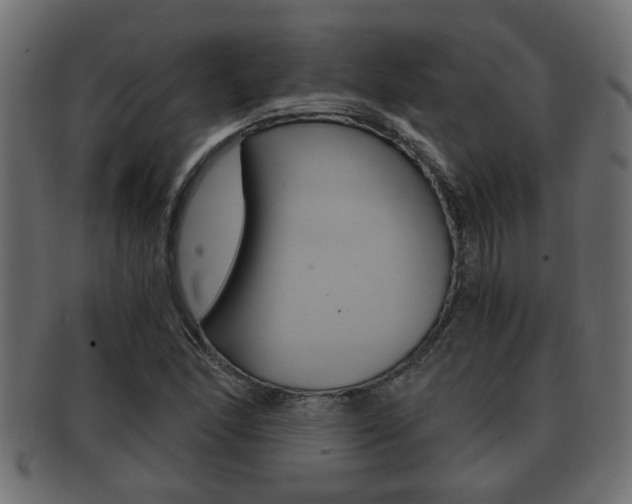 X0000092311166200709141025