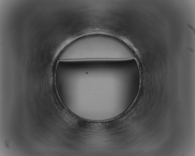 X0000092311167200709141025