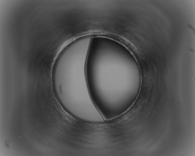 X0000092311168200709141025