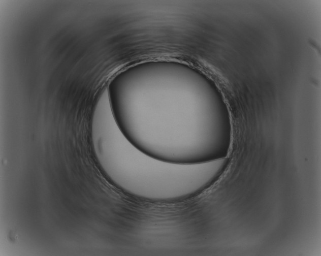 X0000092311169200709141025