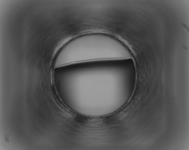 X0000092311171200709141025