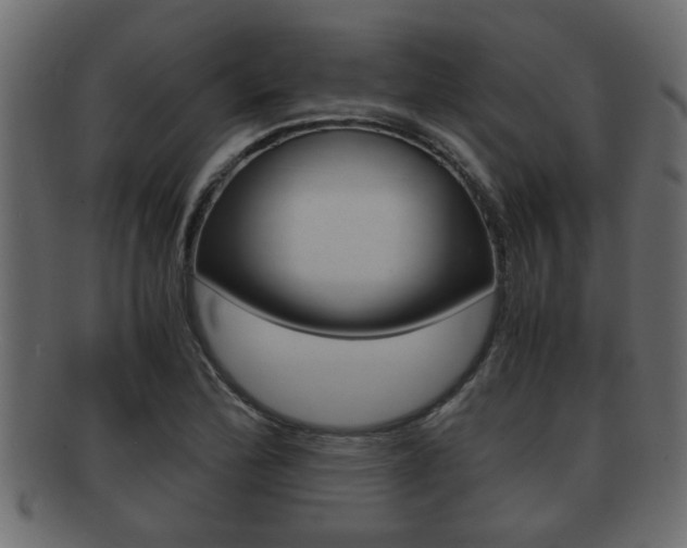 X0000092311172200709141025