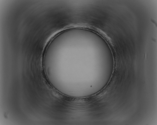 X0000092311174200709141025