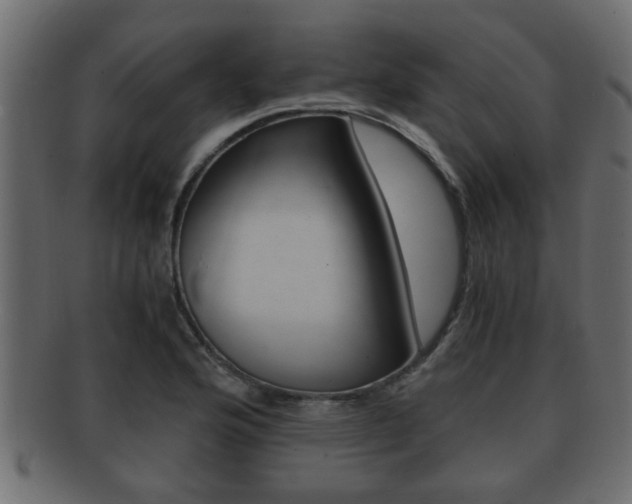 X0000092311176200709141025