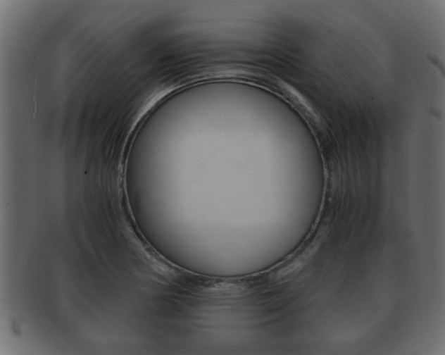 X0000092311178200709141025