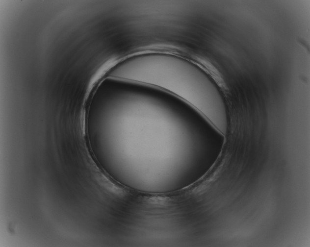 X0000092311180200709141025