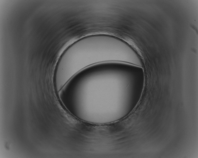 X0000092311181200709141025