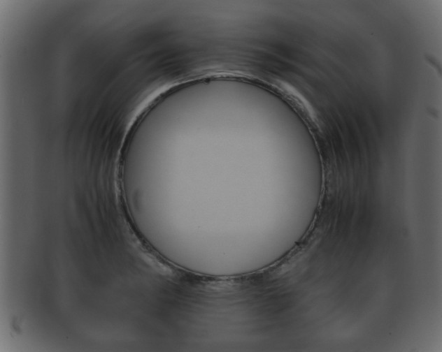 X0000092311182200709141025