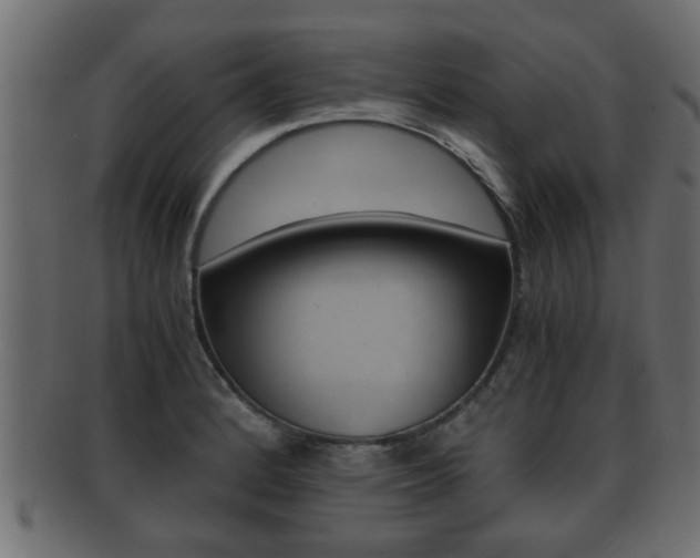 X0000092311184200709141025