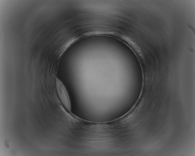 X0000092311185200709141025