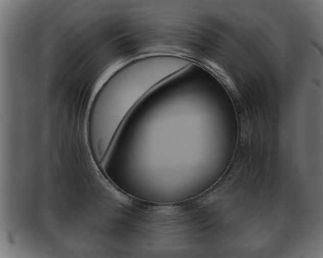 X0000092311188200709141024