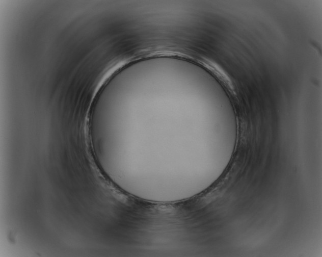 X0000092311190200709141024