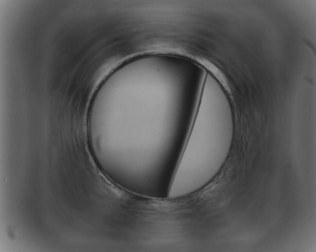 X0000092311191200709141024