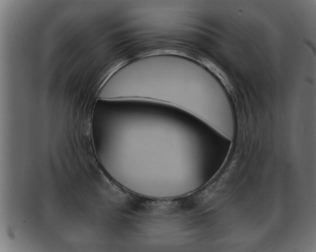 X0000092311193200709141024