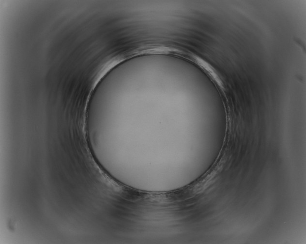 X0000092311194200709141024