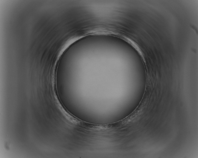 X0000092311195200709141024