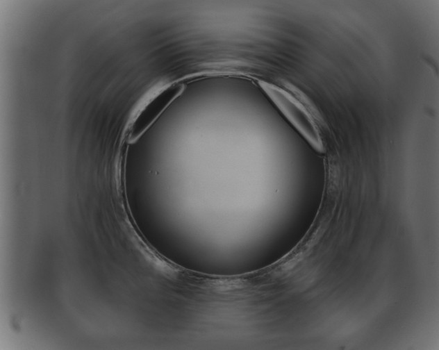 X0000092311196200709141024