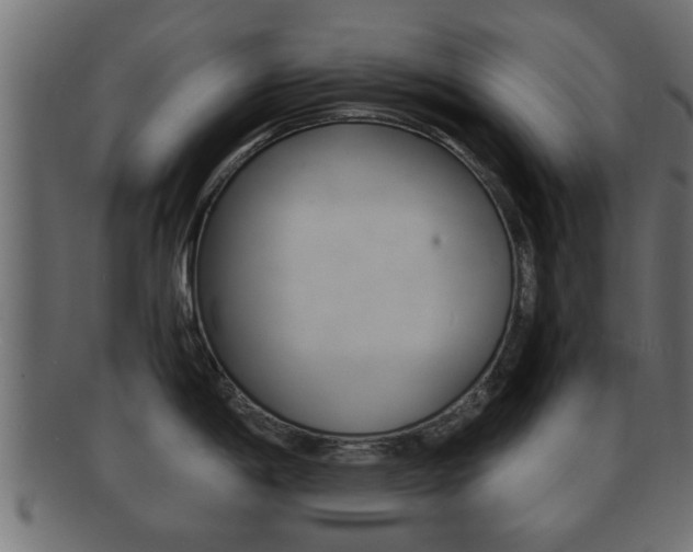 X0000092311198200709141024