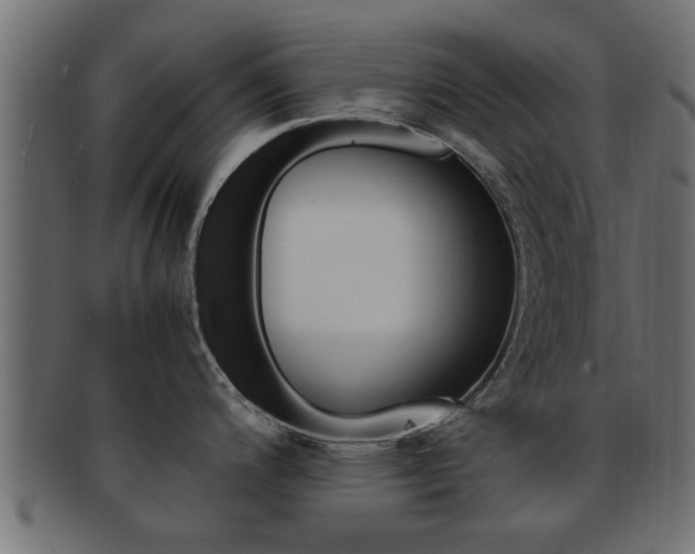 X0000092311200200709141024