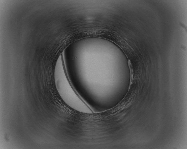 X0000092311202200709141023