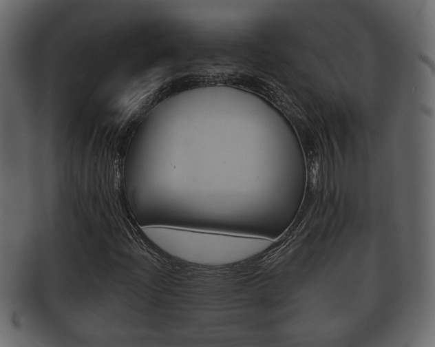 X0000092311204200709141023