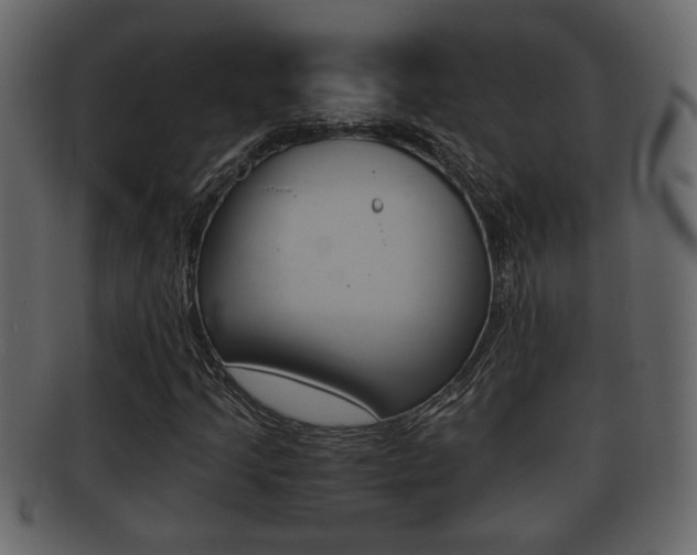 X0000092311205200709141023